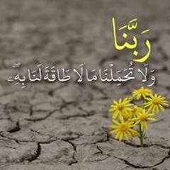 Mai Mohamed Eltahawy