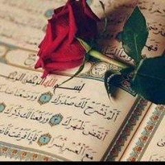 Aml Mohamed Elmadawe