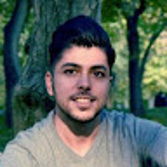 ali_mostafavi