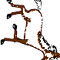 ordinaryperson