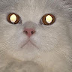 doctostro