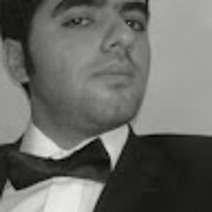 alireza ramezani