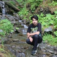 Safiuddinaali