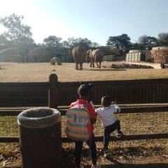 Johannes Thabo Tsotetsi