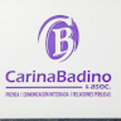 Carina Badino & Asoc