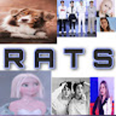 Rats Rats