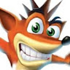 CRASH NET
