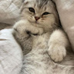 RAGHAD