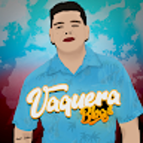 Vaquera Blogs’s avatar