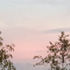 이세연