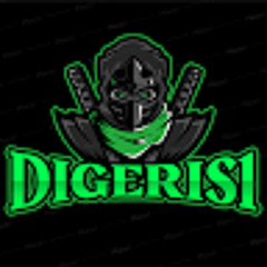 digeris 1
