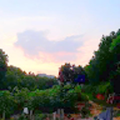 trần duy hoàng