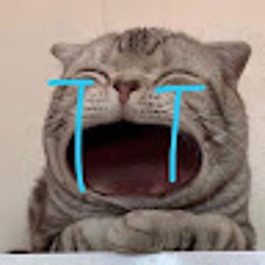 huhu không học toán mà