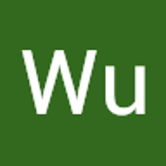 Wu Steiner