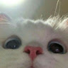 Scrims