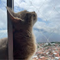 Julieta Tamayo Mejia