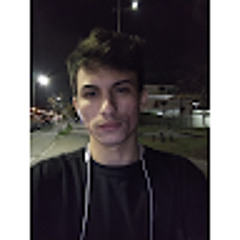 Joao P L Ribeiro