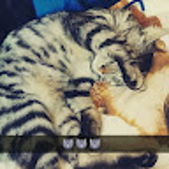 Anouk terror