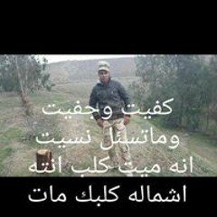 حيدر قاضي