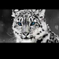 Alphaaa