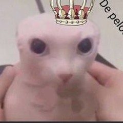 Ian Daniel Tovar Celis