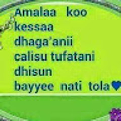 عبدالرحمن علي المصعبي