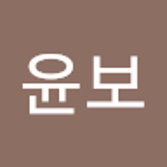 심윤보