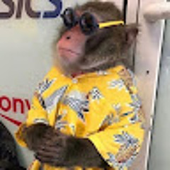 billclintonmomentnumber63