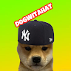 dogwitahat