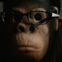 monke y