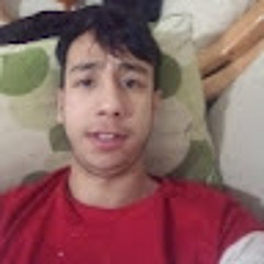 Amirali Anbarestani021