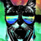 luca_litt_0810