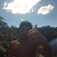 gorilandia