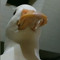 jzin