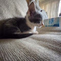 Android-Sound-Effect-Meme 3