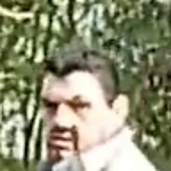 Fransie