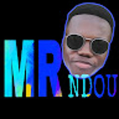 MR. NDOU