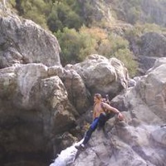 Hurona