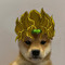 Ken