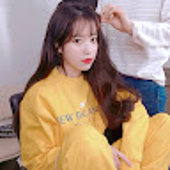 seipy