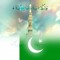 Hafiz Zain Ul Abideen