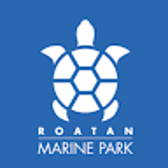 Roatan Marine Park
