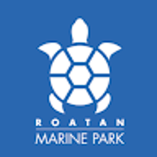 Roatan Marine Park’s avatar