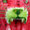 Water Melon