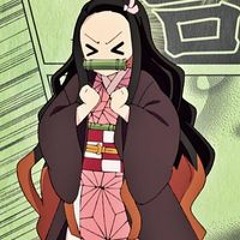 Maria Luiza Rossi Cardoso