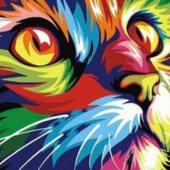 dave cat