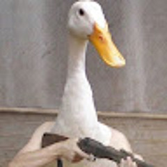 Trúc Phạm