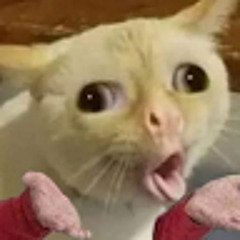 yhgjderp