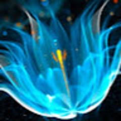 Nastya Chernobrovkina