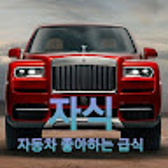 자동차 좋아하는급식